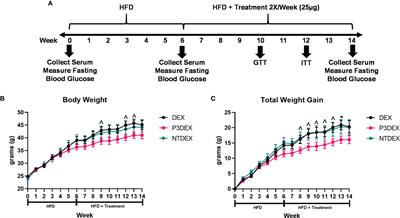 A Comparison of Two Structurally Related Human Milk Oligosaccharide Conjugates in a Model of Diet-Induced Obesity